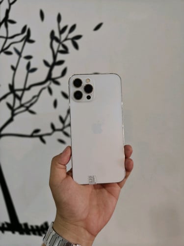 iPhone 12 Pro max 128g LL/A សានុំហ្សិន ស្អាត99%