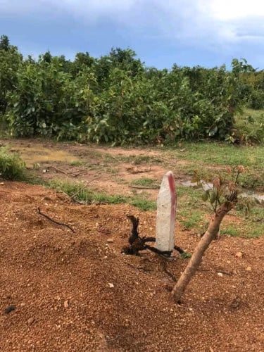 ដីលក់តម្លៃក្រោមទីផ្សារ