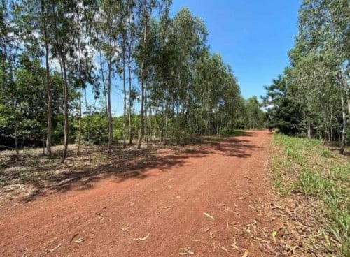 លក់ដីចំការ​នៅ​ត្រាកុដិ