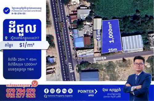 ដីជួលនៅជិតផ្លូវ217