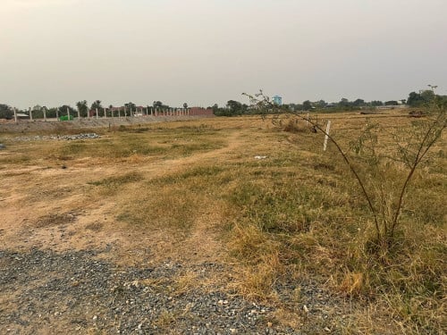 ដីឡូលក់ ទំហំ5x20m