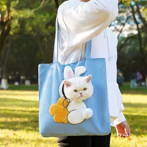 Cat bag plus Cat Pillow (Small puppy can use too)