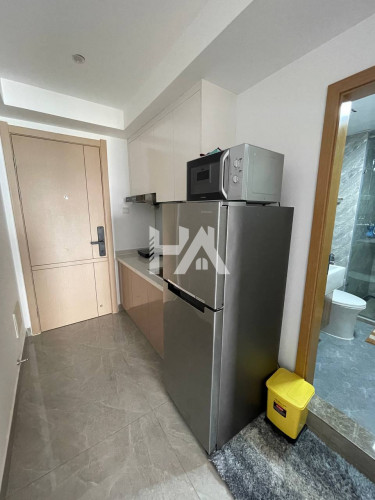 Condo Type studio For rent !