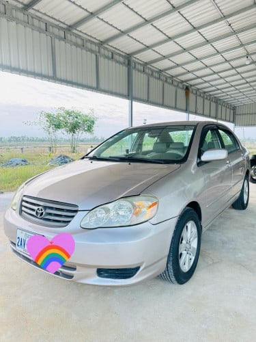 Corolla 03 Le ទឹកមាស