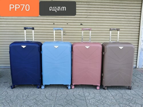 Fashion luggage set