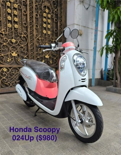 Honda Scoopy Up024