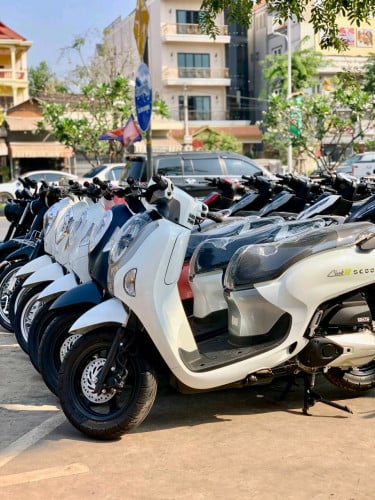 Honda scopy 025- 024 -017 -015