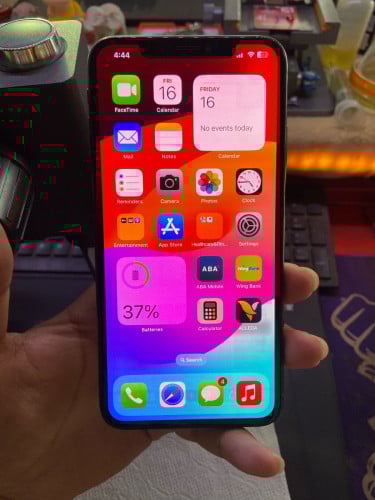 iPhone XS Max 256G Scan