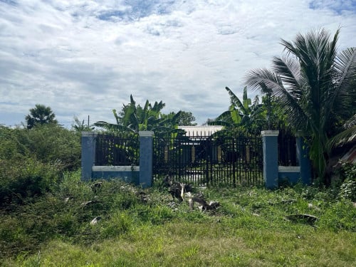 ដីលក់ ឬជួល