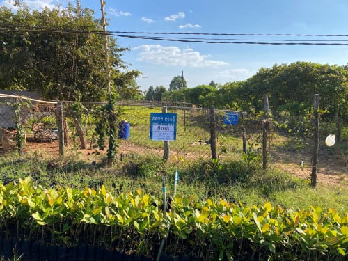 ដីម្ចាស់ផ្ទាល់ លក់បន្ទាន់ យកលុយសងធនាគារ លក់ខាត