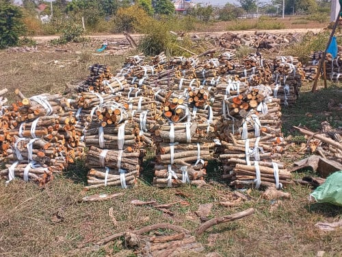មានអុសគ្រប់ខ្នាត