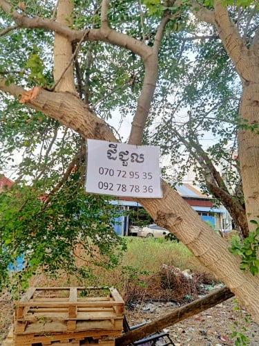 ដីជួលនៅស្វាយចេក ចូលពីមហាវិថីឌីប៉ុក