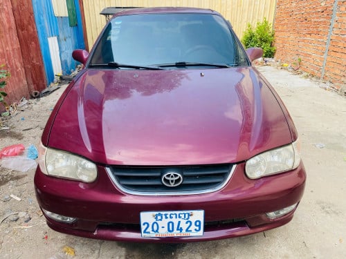 សាងបានរៀបចំអត់ទាន់ប្រភេទមេឡានអត់បុកអត់ប៉ះត្រូវសារេថ្នាំខ្លះ1998 ឡើង2001ហើយក្នុងលឿងពោង4ថ្មីដាច់