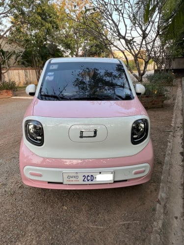 Bestune Pony 2025 EV 170km