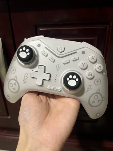 CM-619 wireless controller