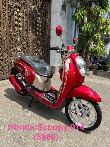Honda Scoopy 014