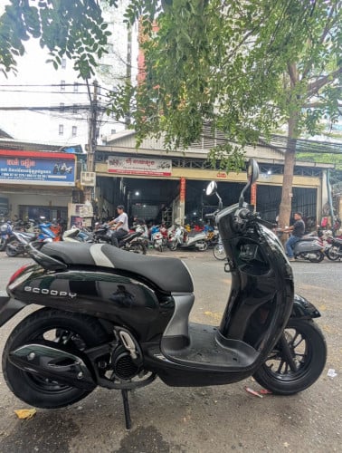 Honda Scoopy