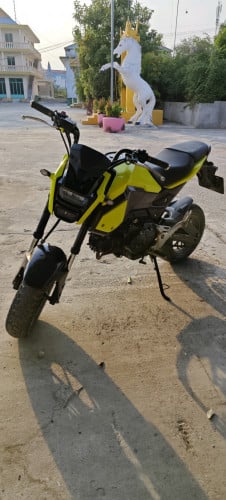 Msx016មានពន្ធ