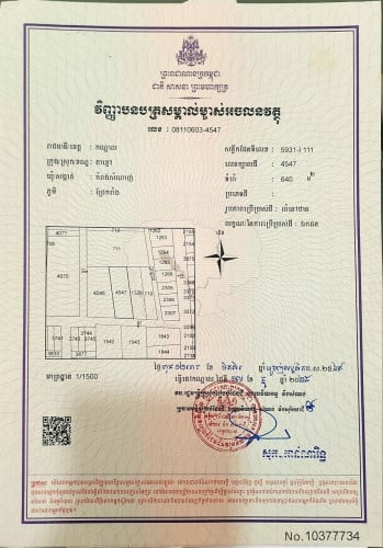 ដីលក់បន្ទាន់នៅតាខ្មៅកំពង់សំណាញ់ដីខ្ញុំផ្ទាល់ក្រោយផ្លូវផ្ទះសម្ដេច