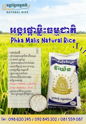 អង្ករផ្កាម្លិះ ស្រូវថ្មី