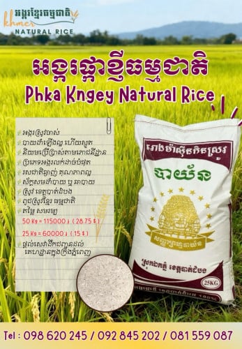 អង្ករផ្កាខ្ញី ធម្មជាតិ ១០០% មកពីបាត់ដំបង