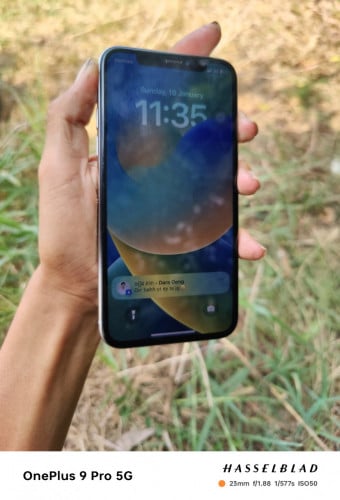 លក់បងៗ50freeដឹក