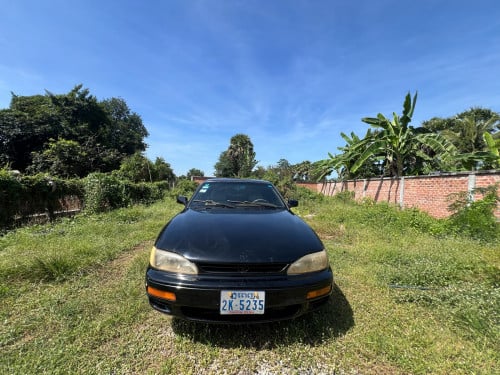 ហើម 95 សាច់ដែកខ្ចី