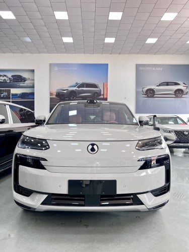 Denza N9 flagship edition 2026