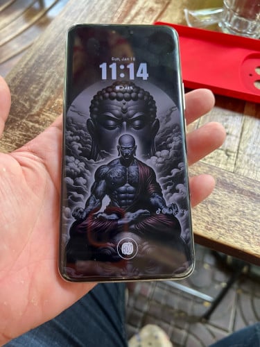 Honor Magic6pro Global