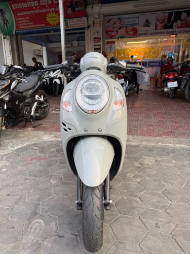 Scoopy 2024 ក្រដាស់ពន្ធ