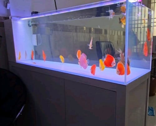 Sell aquarium brand Water Life 150cm with Discuss 12pc