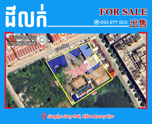 ដីលក់ នៅស្វាយប៉ាក