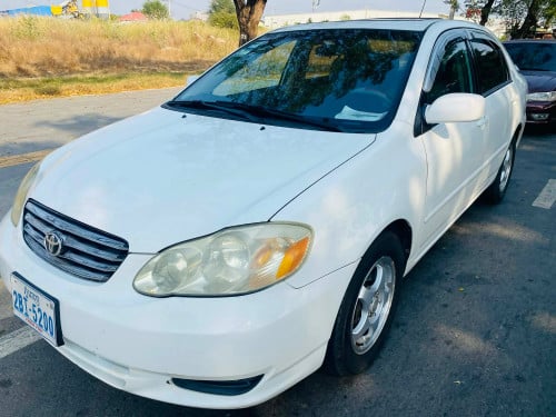 ស្រុីនមួយជុំ​ម្ចាស់​ដេីមបងប្អូន