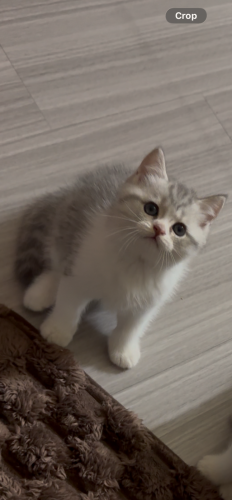 ចេះជុះខ្សាច់ចេះញុាំចំណីហើយ