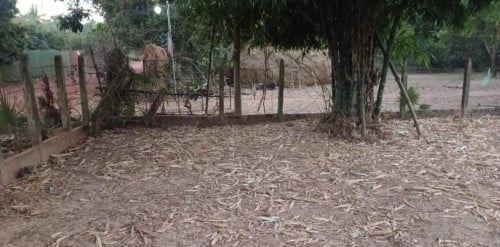 ដីលក់បន្ទាន់-សៀមរាប (26.5mx40m) $28500