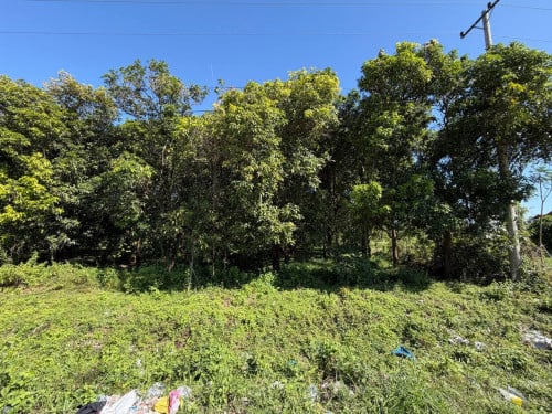 ដីលក់ជាប់ផ្លូវ380 15m x 60m