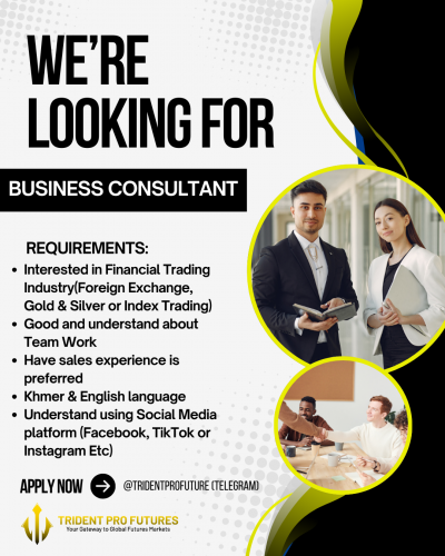 Business Consultant