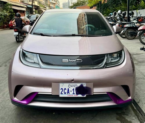 Dolphin 2024 ( 17500$) 405គីឡូ​