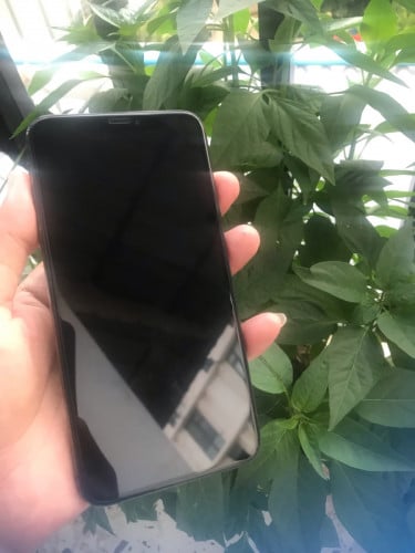 iPhone XS mix Zin have scen