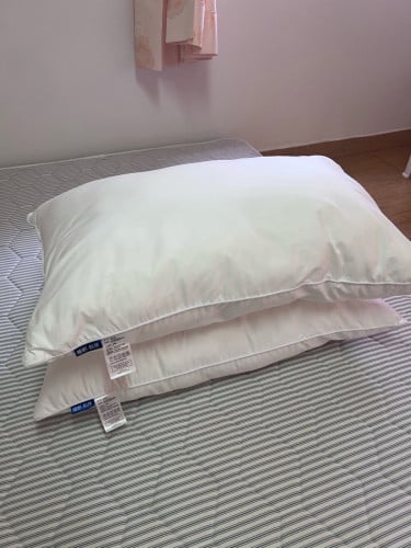 Pillow and Pillow White Pillow Case