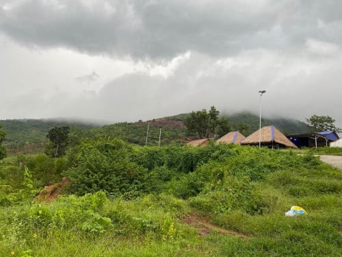 អាហារដ្ឋានជួល (កំពត តានីទូកមាស)