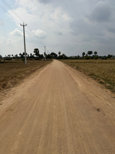 ដីស្រែនៅខាងលិចផ្សារបាត់ដឹង លក់បន្ទាន់