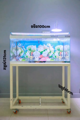 លក់ទូរត្រីនៅស្អាតបានទាំងភ្លេីង