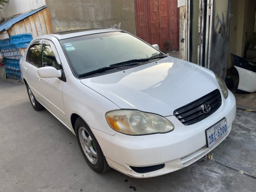 ស្រុីនមួយជុំ​ម្ចាស់​ដេីម