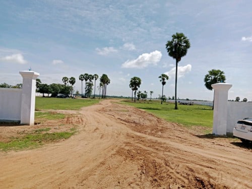 ដីលក់បន្ទាន់ជាប់ផ្លូវកៅស៊ូខ្នាតរោងចក្រ