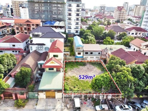 ដីលក់ខ្នាតវីឡា នៅទួលគោក