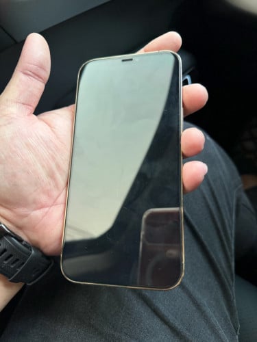 លក់ មាន ស្កេន 12 pro max 256G