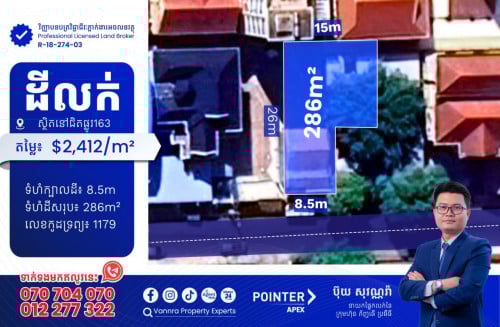 ដីលក់នៅក្បែរផ្លូវ163