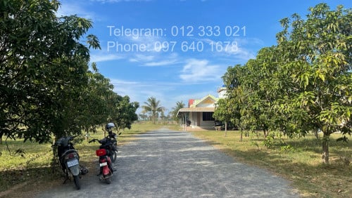 ដីស្អាត លក់បន្ទាន់​ជិតផ្លូវជាតិ3​ ខេត្តកំពង់ស្ពឺ 30គីឡូ​ ពីភ្នំពេញ