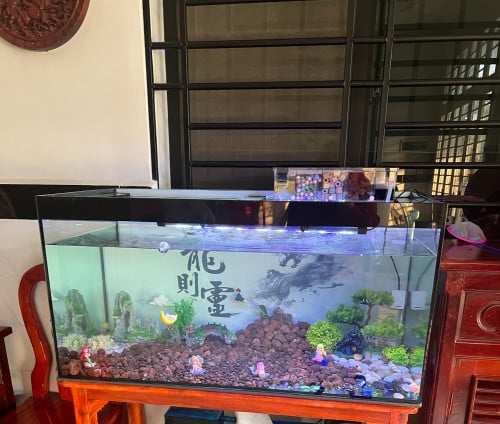 កញ្ចក់ Ultra white 8លី 100x50x50